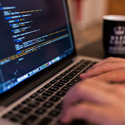 片单更新总结｜梳理蘑菇影视片单，信息量很大（反转在后面）