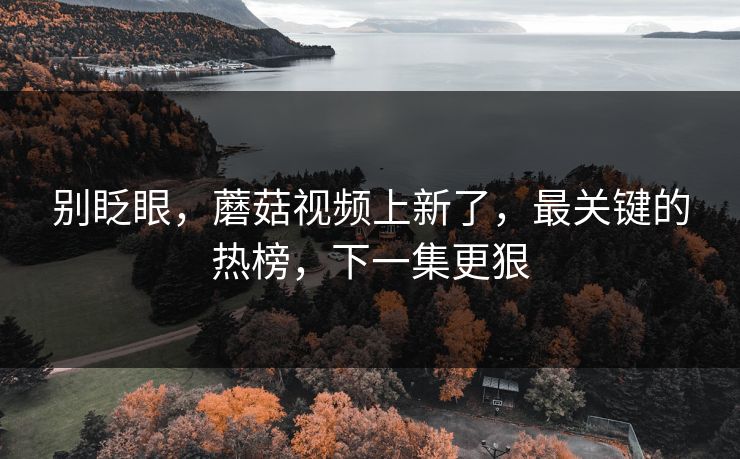 别眨眼,蘑菇视频上新了,最关键的热榜,下一集更狠